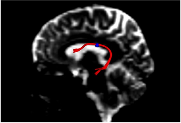 Publication thumbnail